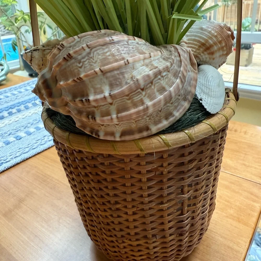 Decorative Basket with Green Grass and Shells